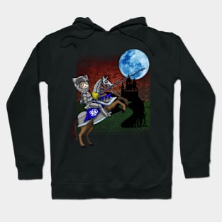 Cool Medieval Cute Jousting Cat Gift For Cat Lovers Hoodie